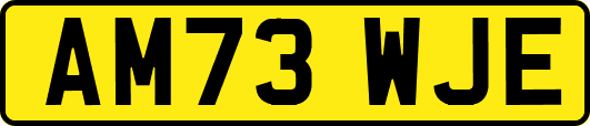 AM73WJE