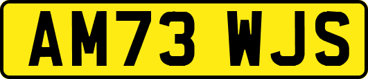 AM73WJS