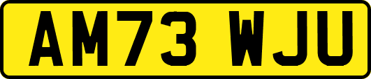 AM73WJU