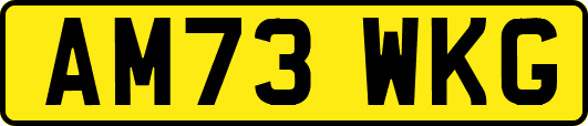 AM73WKG