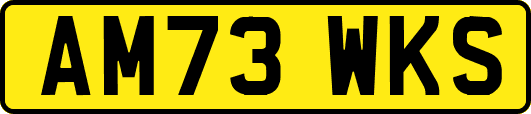 AM73WKS