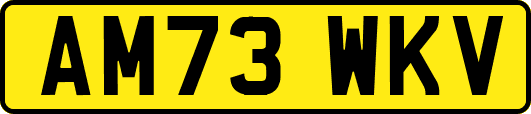 AM73WKV