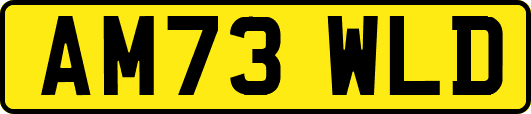 AM73WLD
