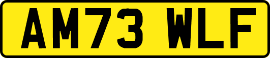 AM73WLF
