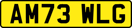 AM73WLG