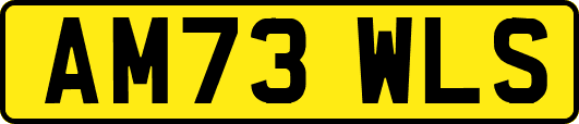 AM73WLS