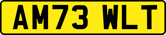 AM73WLT