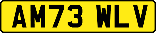 AM73WLV