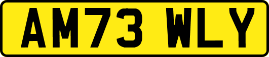 AM73WLY