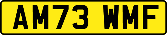 AM73WMF