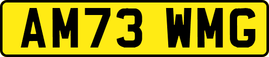 AM73WMG