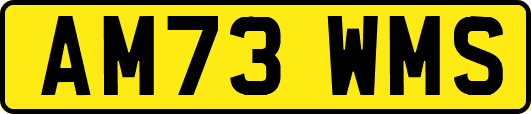 AM73WMS