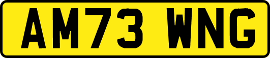 AM73WNG