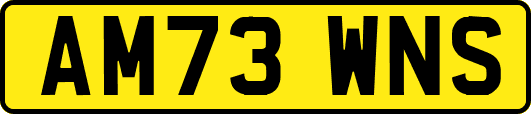 AM73WNS