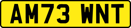 AM73WNT