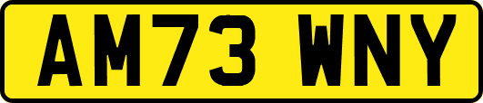 AM73WNY