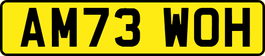 AM73WOH
