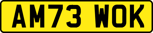 AM73WOK