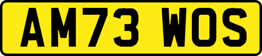 AM73WOS