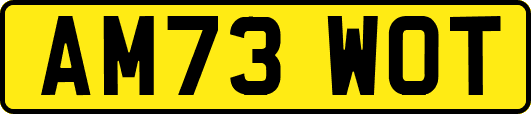 AM73WOT