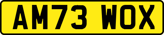 AM73WOX