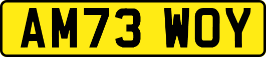 AM73WOY