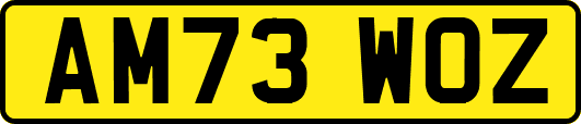 AM73WOZ