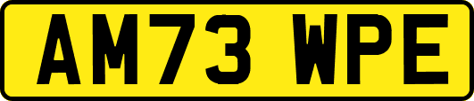 AM73WPE