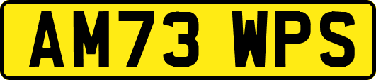 AM73WPS