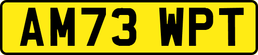 AM73WPT