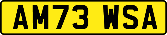 AM73WSA