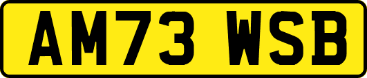 AM73WSB