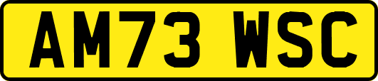 AM73WSC