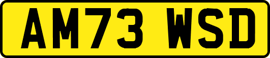 AM73WSD