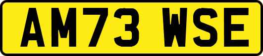 AM73WSE