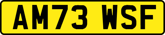 AM73WSF