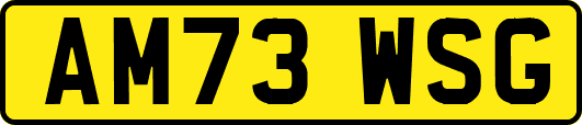 AM73WSG