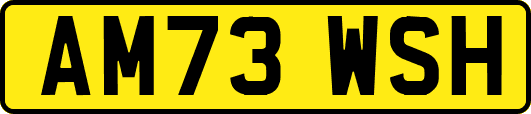 AM73WSH