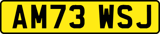 AM73WSJ