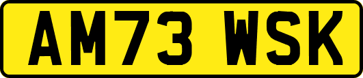 AM73WSK