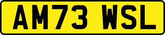 AM73WSL