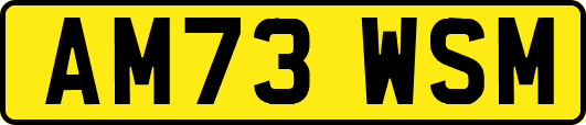 AM73WSM