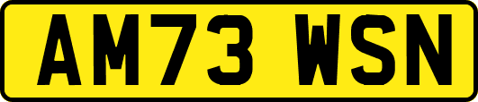 AM73WSN