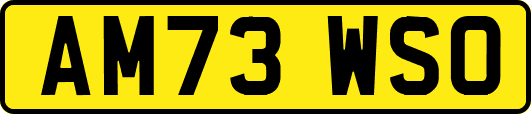 AM73WSO