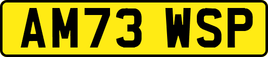 AM73WSP