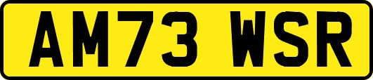 AM73WSR