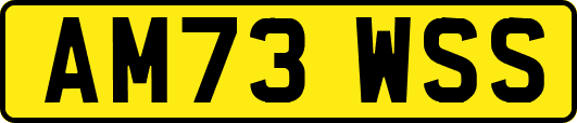 AM73WSS