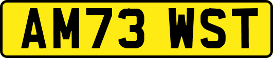 AM73WST