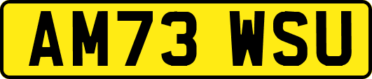 AM73WSU
