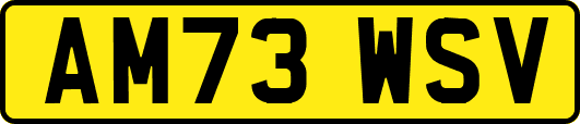 AM73WSV